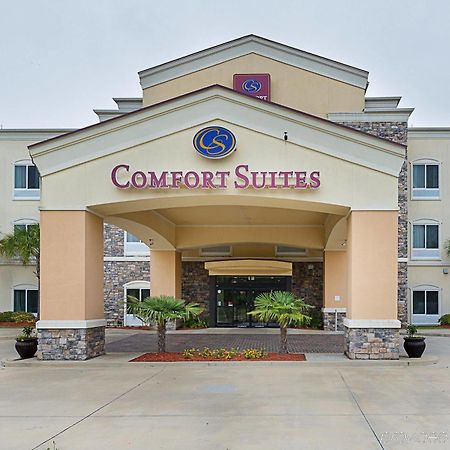 Comfort Suites Leesville 外观 照片